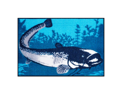 Roho Delphin CatchME! SUMEC I 60x40cm