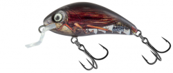 Wobler Salmo Rattlin Hornet Shallow Floating 3.5cm