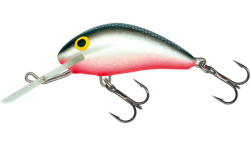 Wobler Salmo Hornet Floating